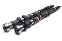 Brian Crower 2JZ0-GE 272 camshafts